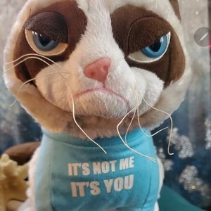 Grumpy cat his T-shirt says it's not me it's you hes in great condition without
